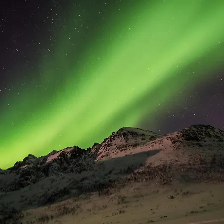 Tatil Evi Amberfish *