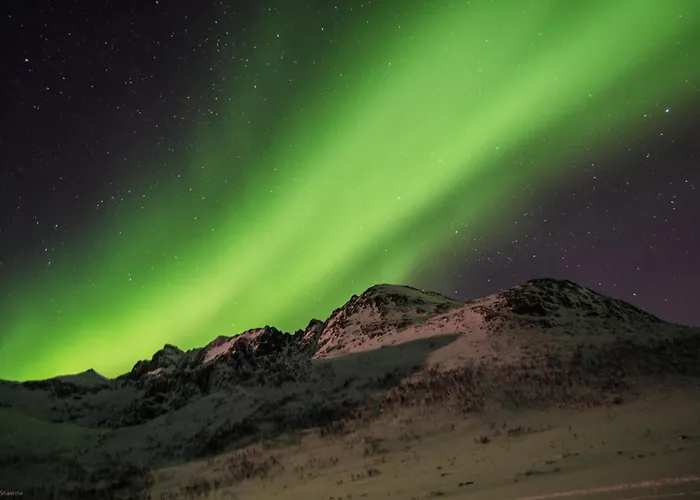 Tatil Evi Amberfish *