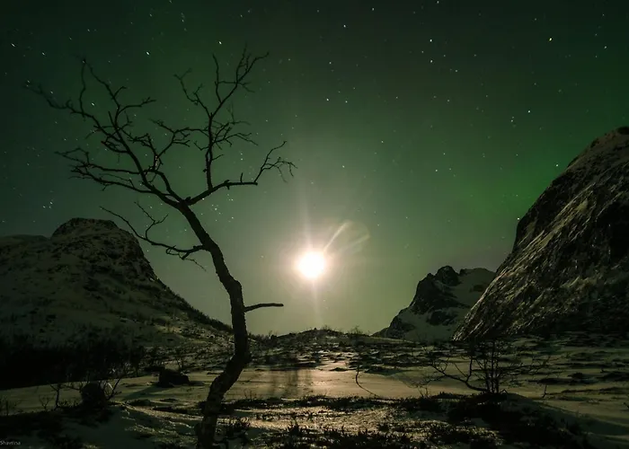 Tatil Evi Amberfish Tromsø